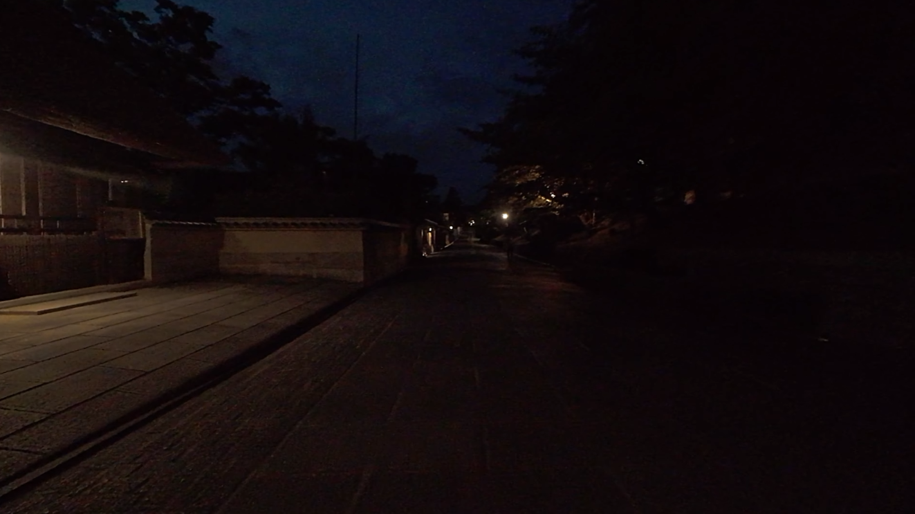 夜のねねの道